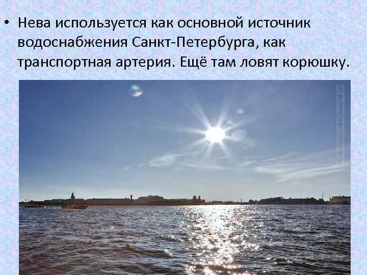 Река новая от истока до устья на карте санкт-петербурга
