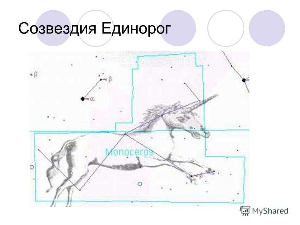 Единорог — телемапедия