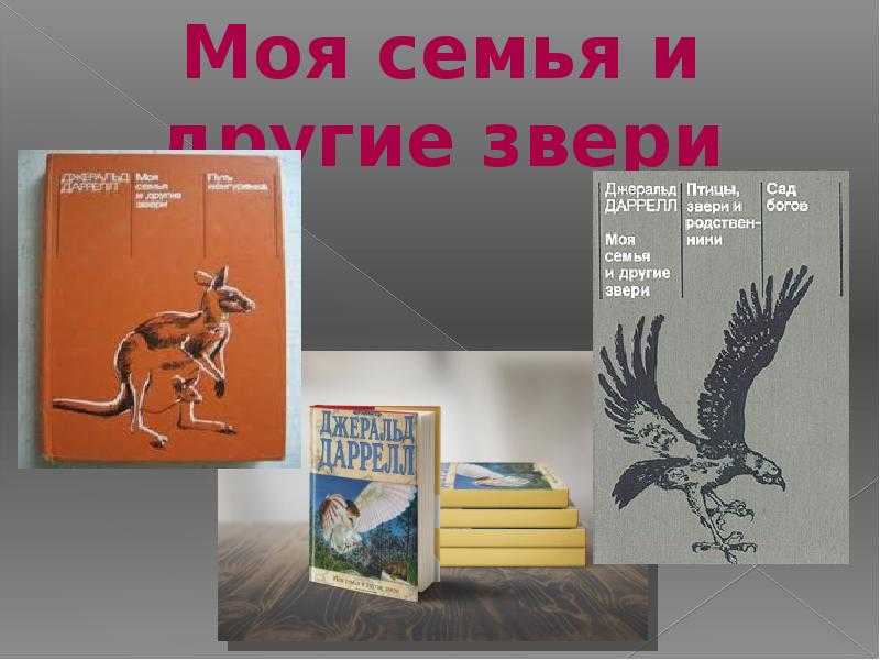 «моя семья и звери» д. даррелла — краткое содержание