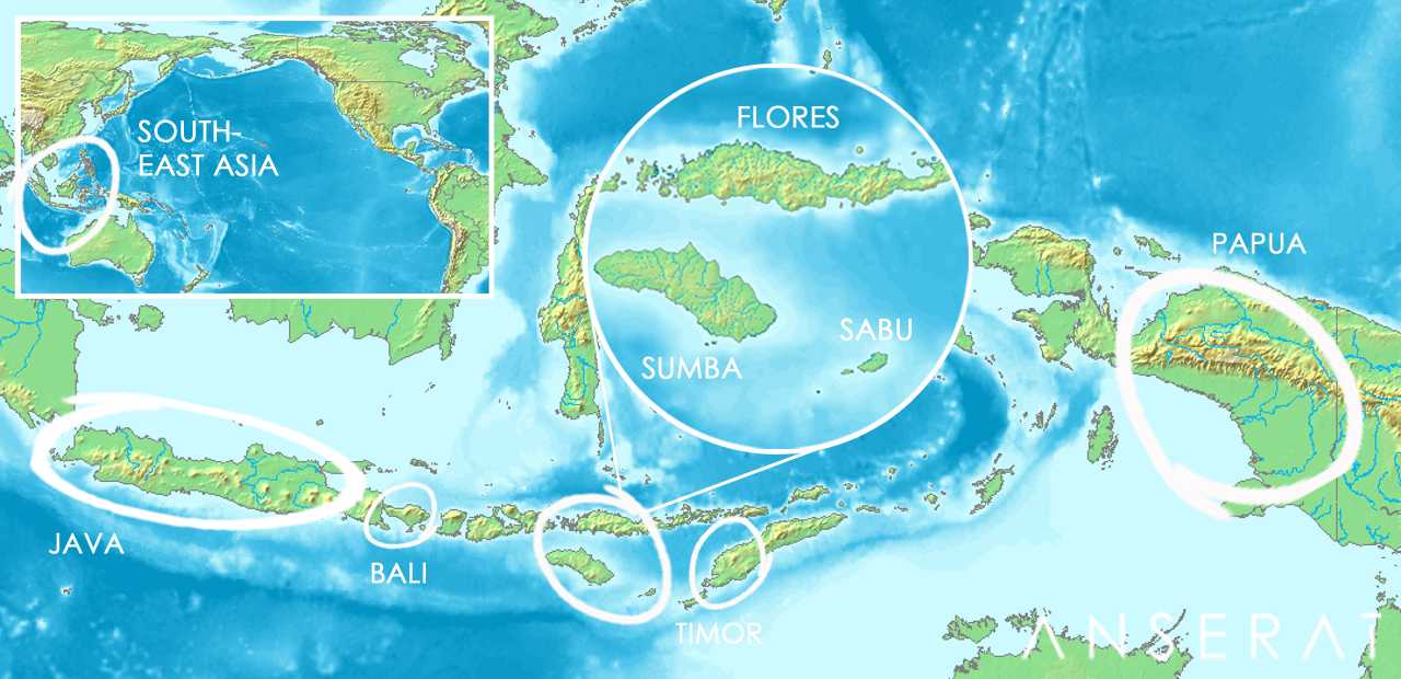 Флорес море - frwiki.wiki