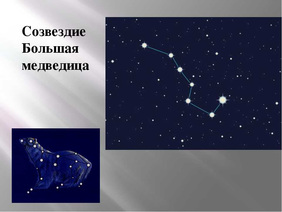 История созвездия: история созвездия большая медведица | астромиф v.2.0