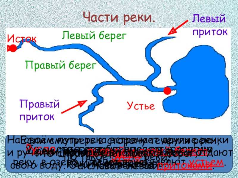 На карте россии и мира: где находится река нева?