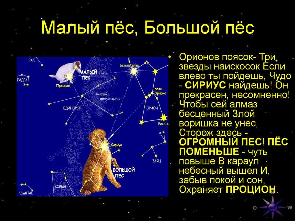 Созвездие большого пса: звезды созвездия, где находится, легенда, координаты