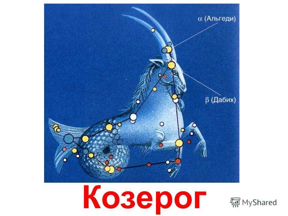 Созвездие козерога картинки