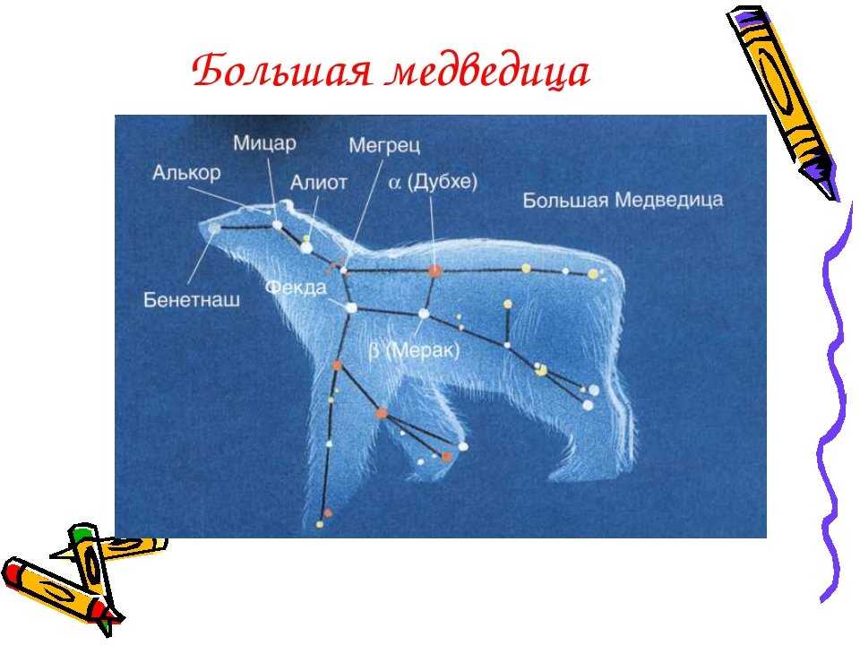 Созвездие большой медведицы 1 класс окружающий. Созвездие большая Медведица и малая Медведица. Большая Медведица Созвездие схема. Созвездиебольшоймедведецы. Созвездие большой медведицы рисунок.