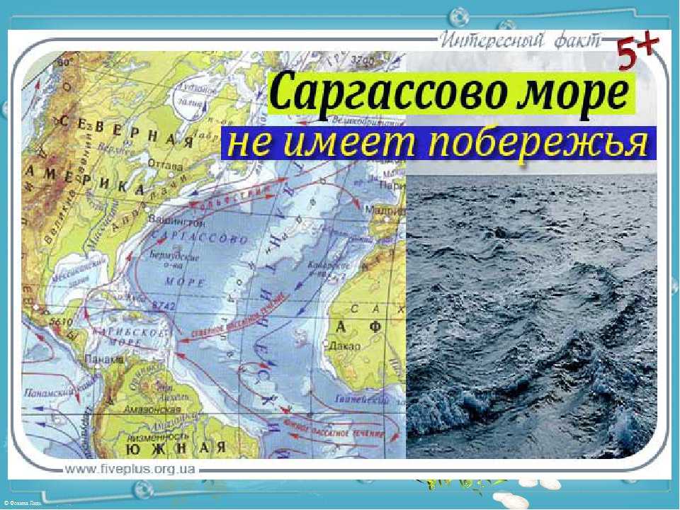 Моря атлантического океана на карте показать. Атлантический океан Саргассово море. Саргассово море на карте. Саргассово море на карте Атлантического океана. Саргассово море границы.