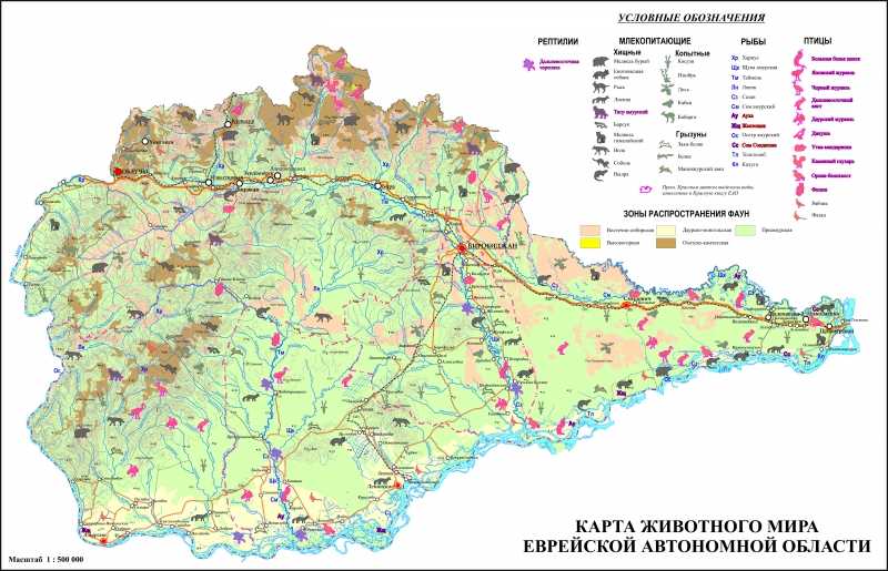 Карта рек еврейской автономной области