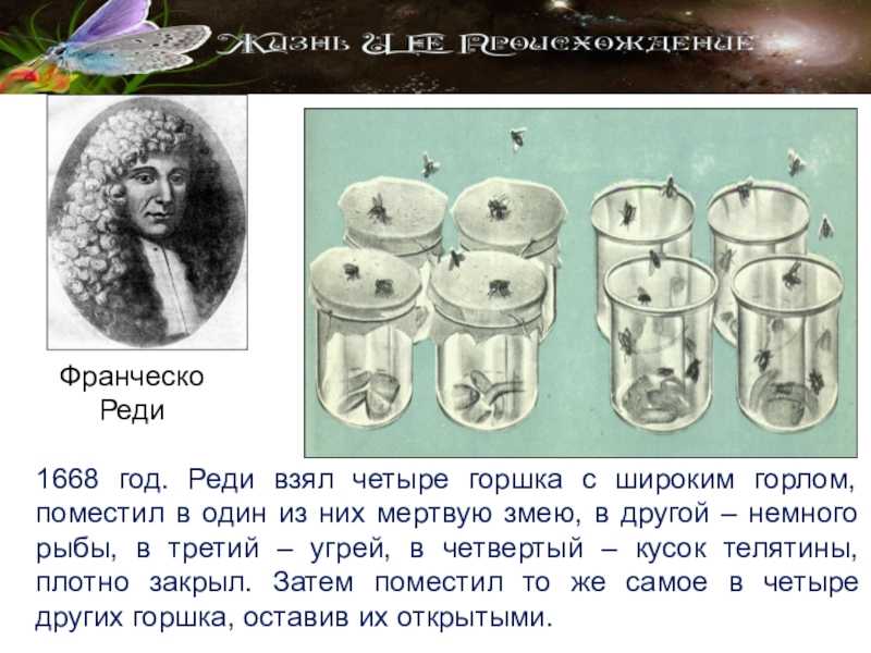 Франческо реди: основатель экспериментальной биологии - наука - 2023