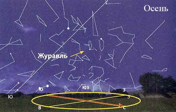 Топ-10 самых известных созвездий на небе | рейтинг 2023 года