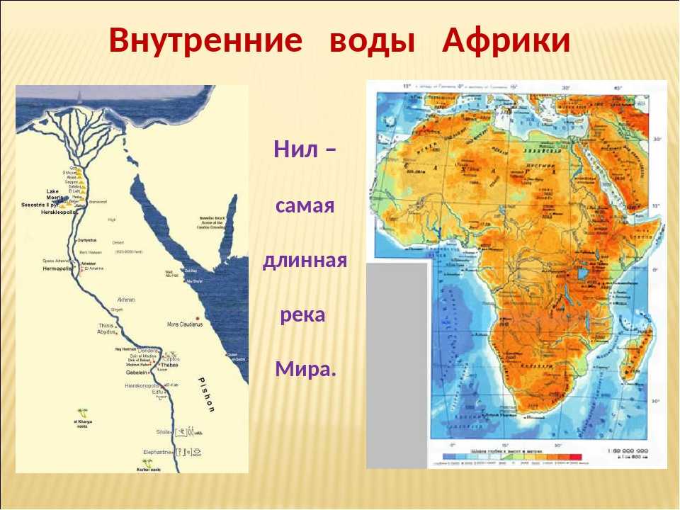 Реки африки: самая длинная на карте