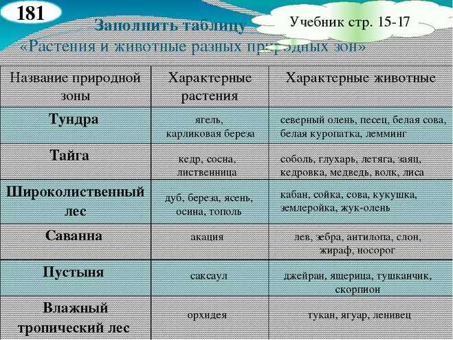 Река чу (шу): карта, описание, долина реки, притоки, сплав и рыбалка