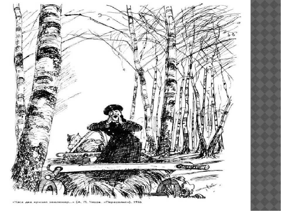Анализ рассказа «пересолил» (а. п. чехов)