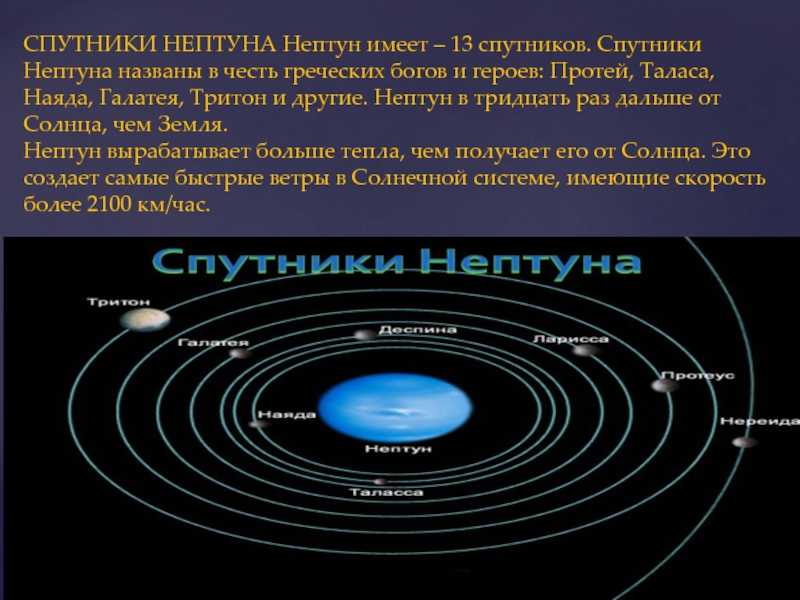 10 интересных фактов о тритоне | the spaceway