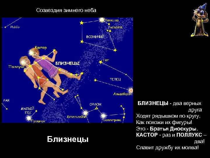 Созвездие близнецы