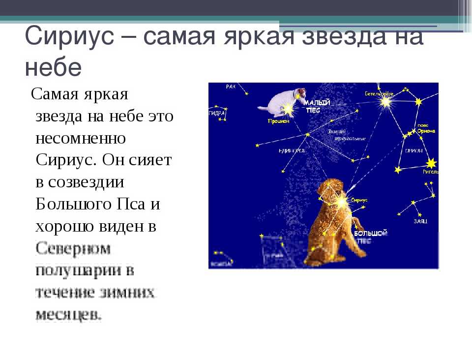 Какая звезда относится к какому созвездию. Самая яркая звезда на небе. Сириус самая яркая звезда. Рассказ о звезде Сириус. Рассказ о звездах.