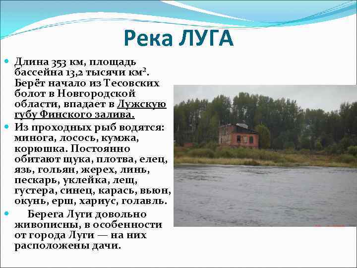 Река волхов: обзор и характеристики, притоки, исток, устье