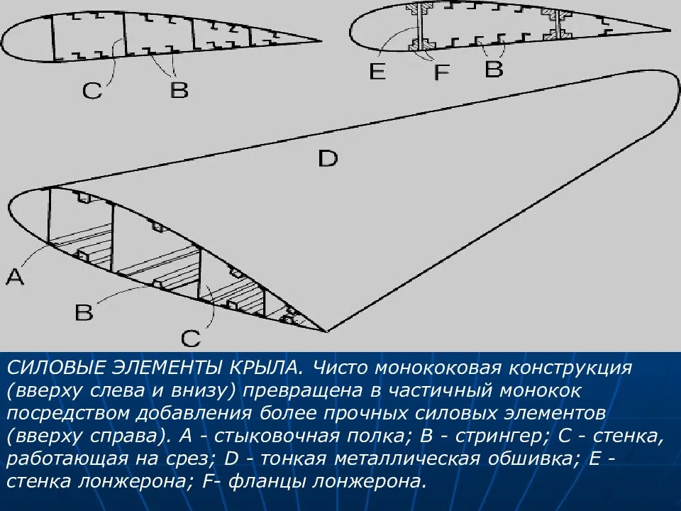 Презентация на тему геометрические характеристики крыла
