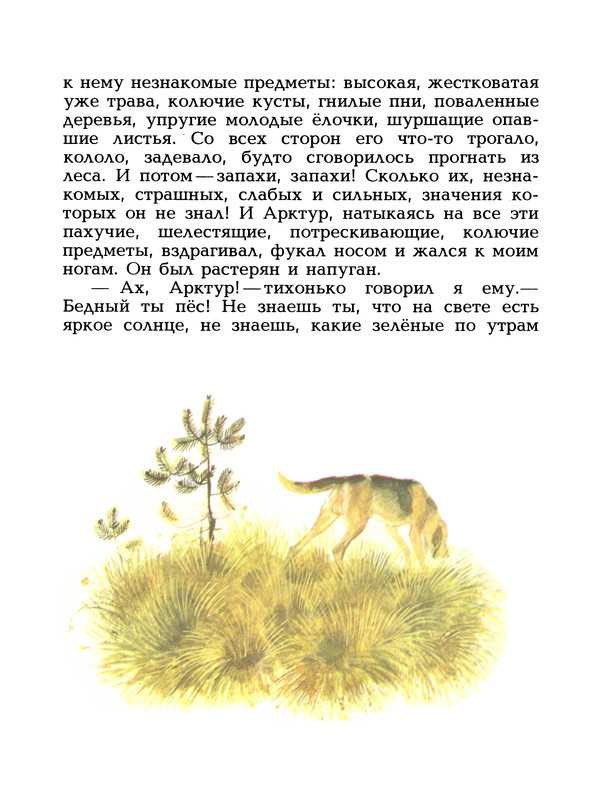 Тема - арктур - гончий пес - краткое содержание рассказа казакова (сюжет произведения)