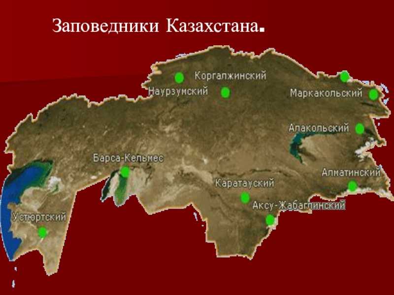Карта запорожской области 2023 крупно с городами и поселками