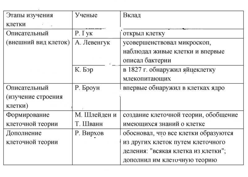 История открытия и изучения клетки, биология - курсовая работа