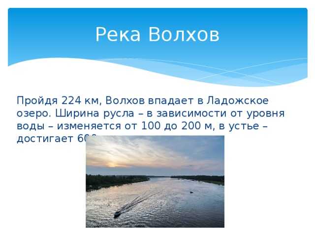 Удачная рыбалка на реке волхов секреты лучших мест и вид рыбы все реки ленинградской области карты глубин виды рыбы