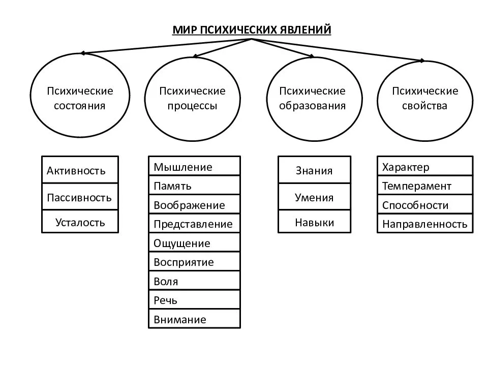 Виды памяти у человека: полная классификация + примеры