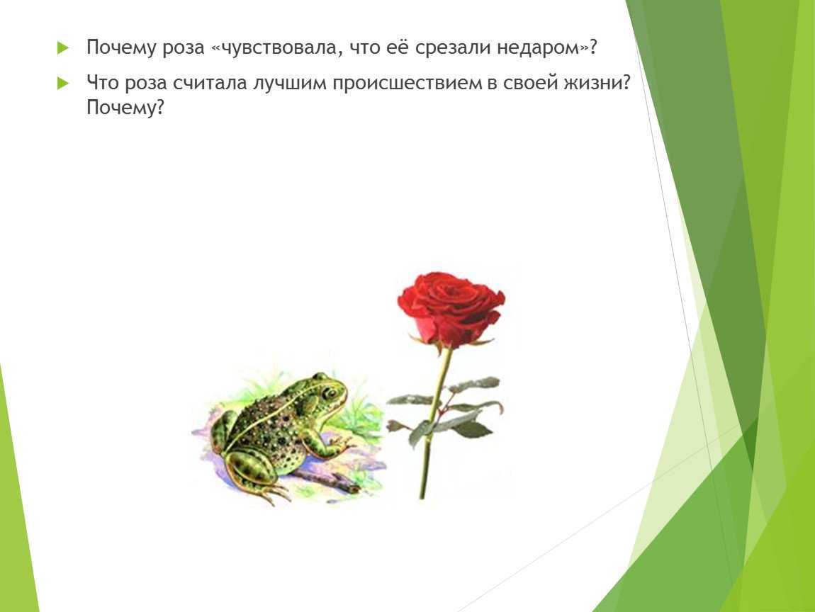 Сюжет первый – «мачеха и падчерица»
