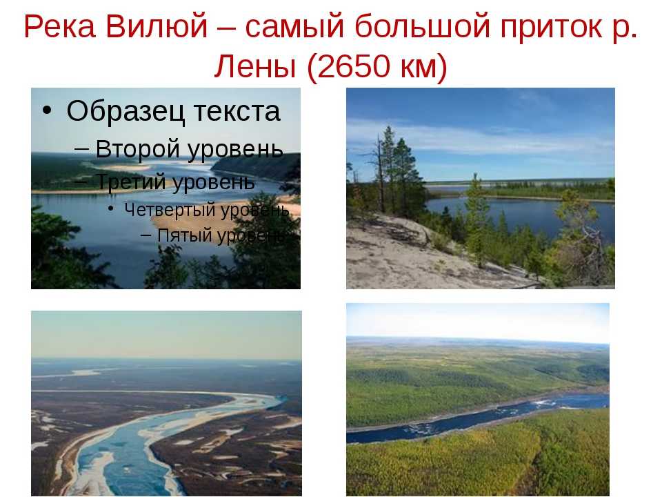 Вилюй - читайте на сatcher.fish
