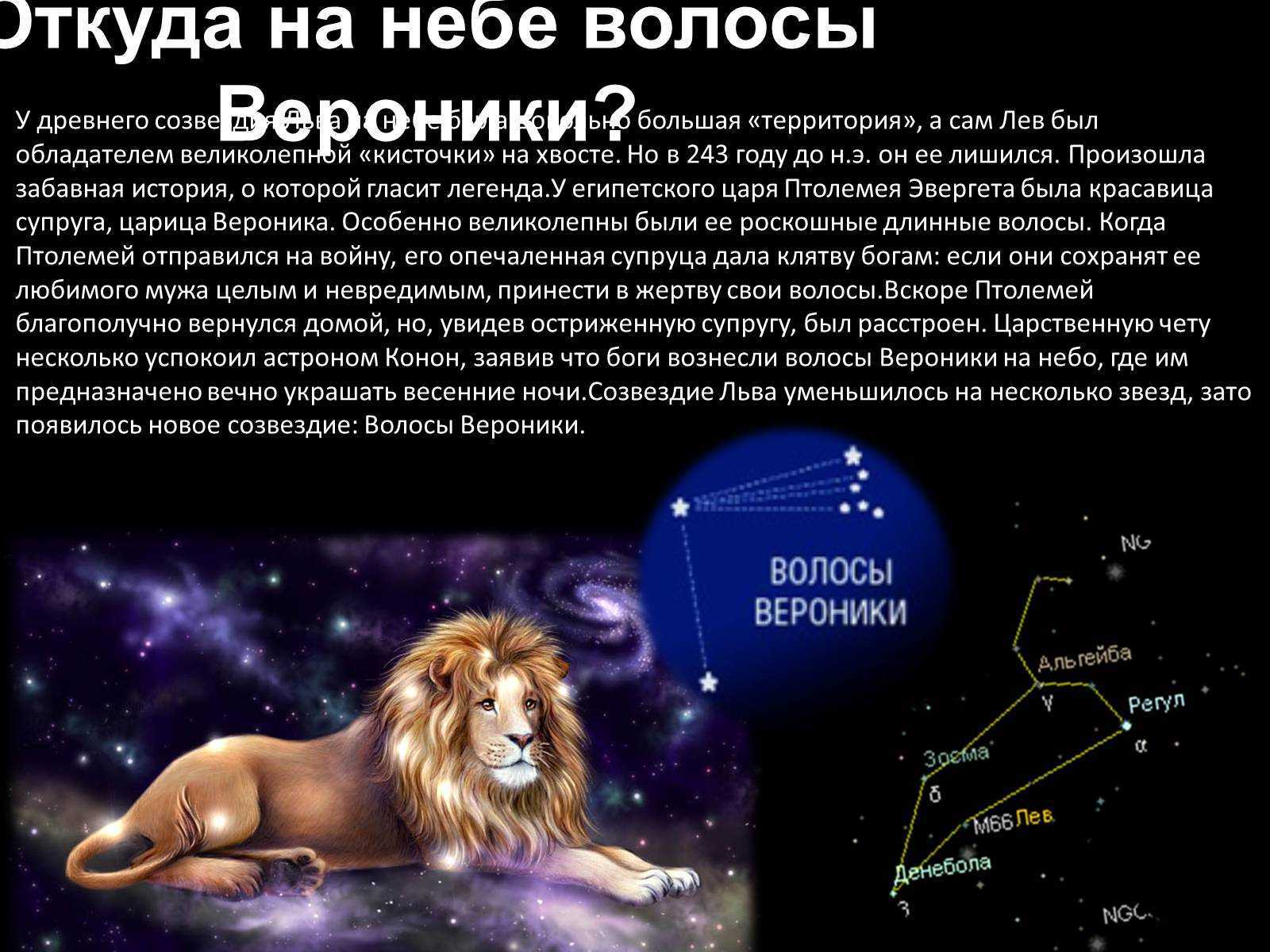 Лев на звездном небе