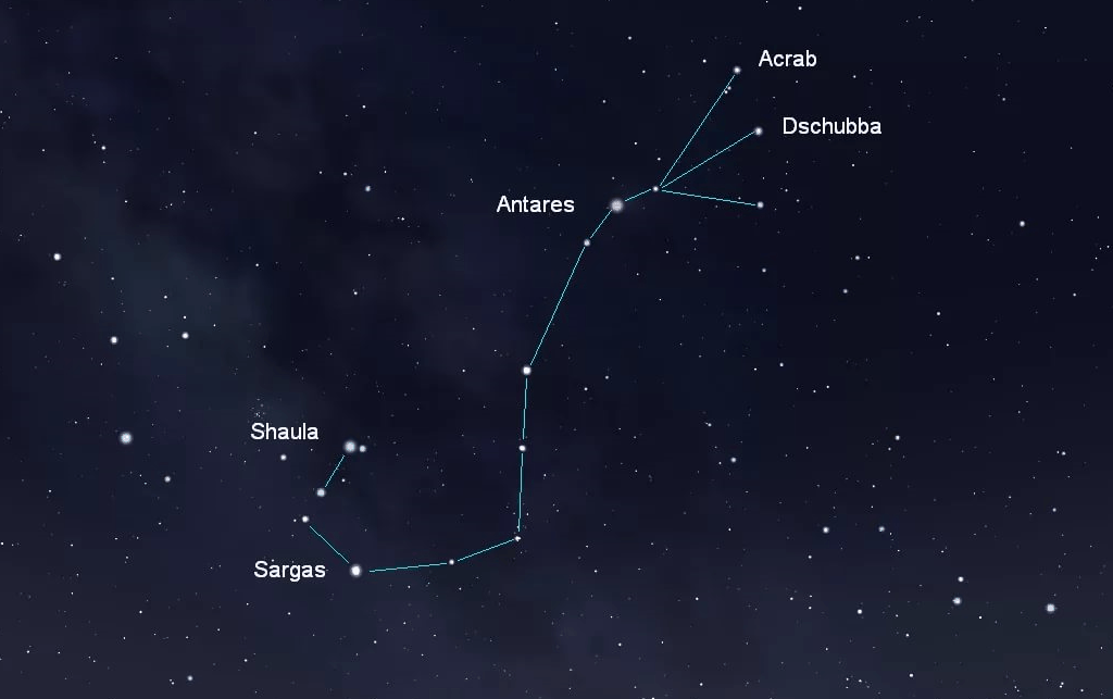 Созвездие скорпиона на небе картинки