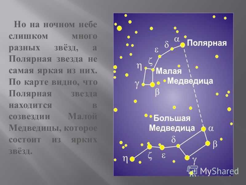 Созвездие малая медведица