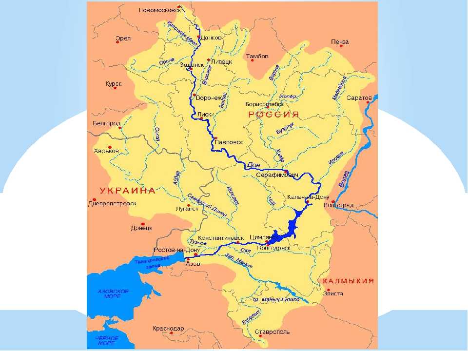 Крупные реки брянской области
