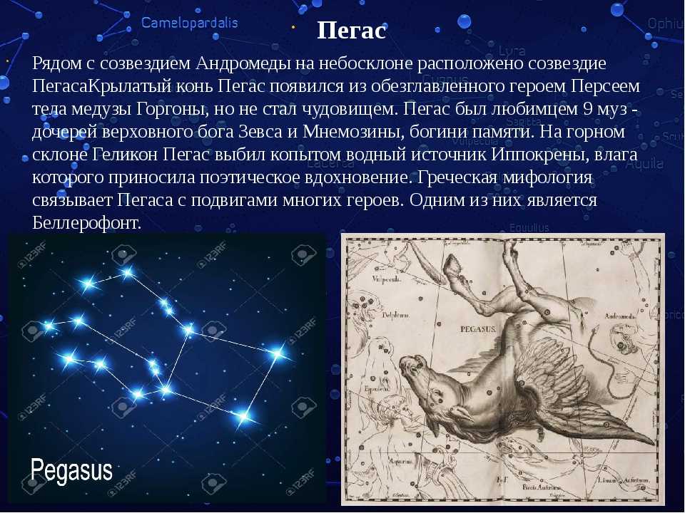 88 небесных созвездий. краткое описание