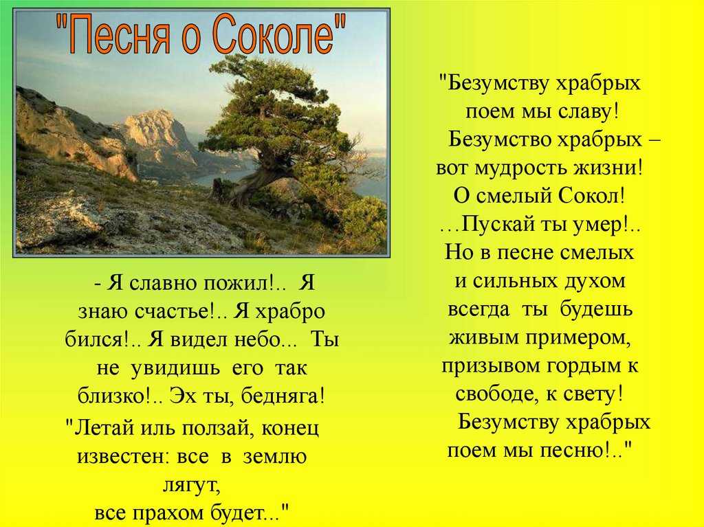 Текст песни горького. Песня о Соколе. Песня о Соколе Горький. Горький м. "песня о Соколе". Безумству храбрых поем мы славу.