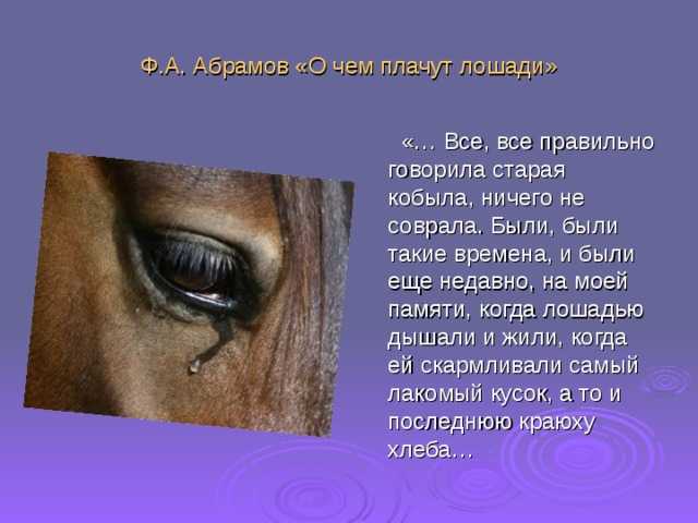 Краткое содержание «о чем плачут лошади» абрамова ф.а.
