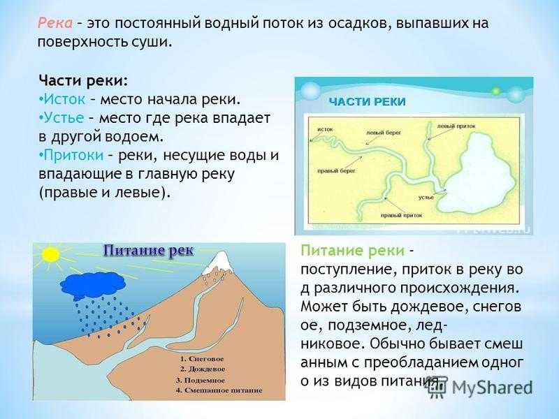 Река амур: общая информация и характеристики. где находится река амур? | дорога знаний