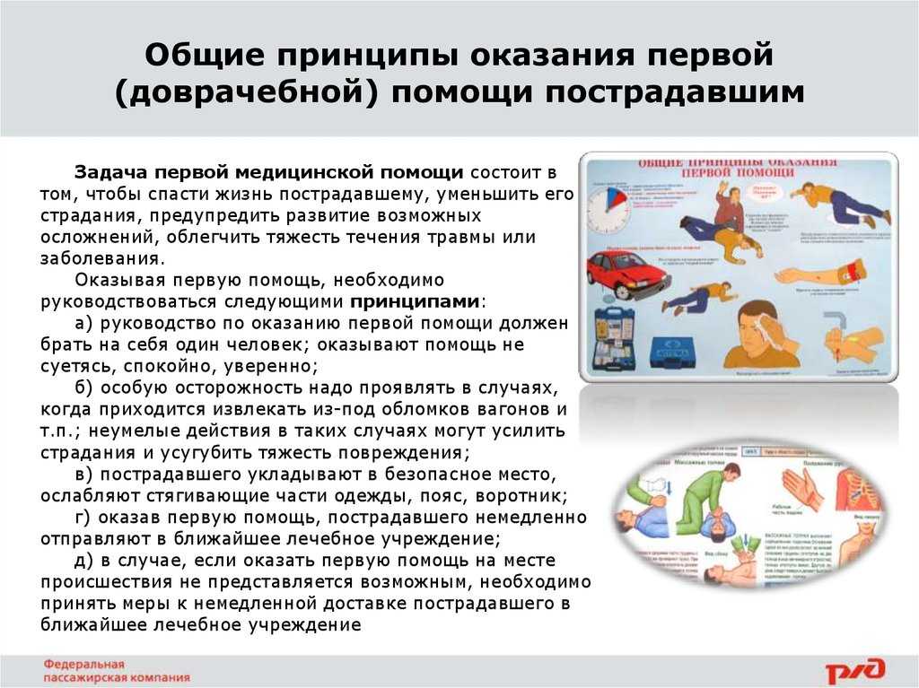Национальный центр массового обучения  »  20. научные и практические основы  »  6. как отличить кому от клинической смерти