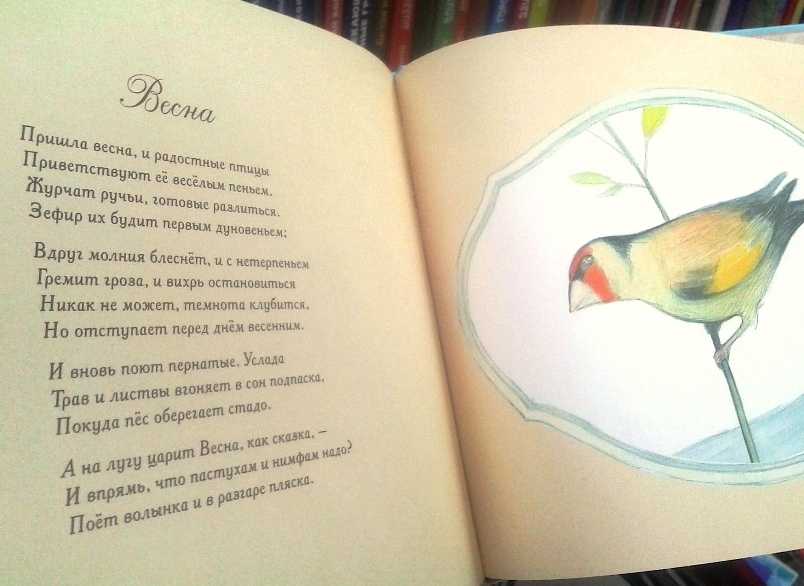 Краткое содержание рассказа антона чехова «невеста»