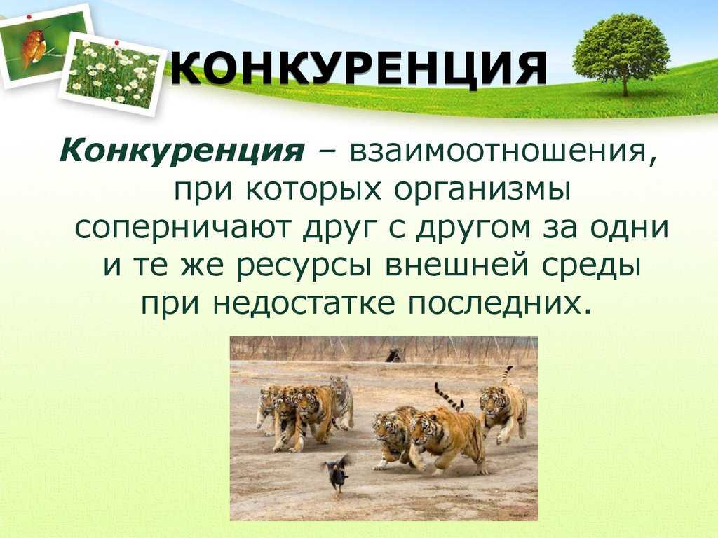 Методы конкуренции. ценовая и неценовая конкуренция. понятие и виды конкуренции :: businessman.ru