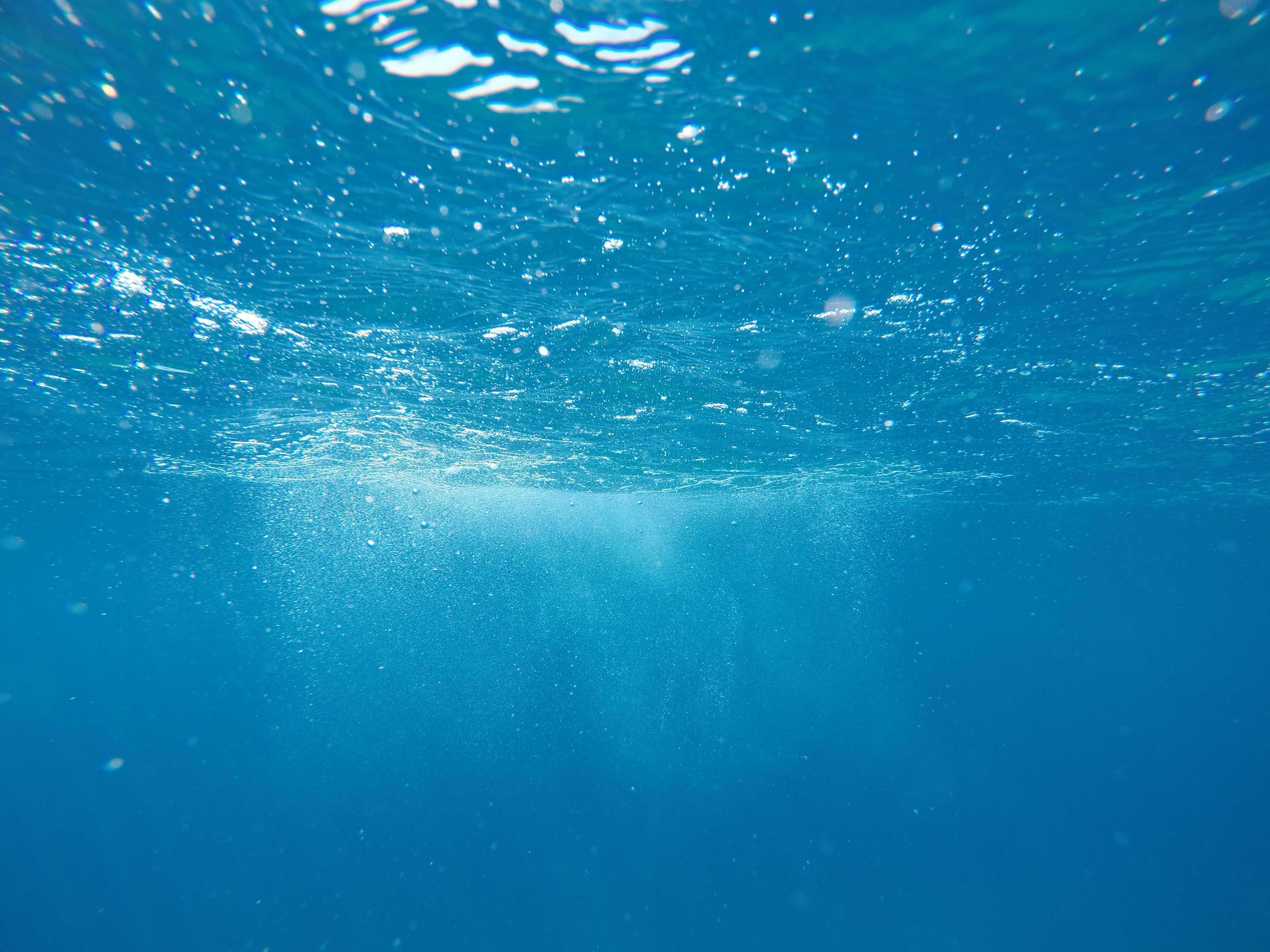 Где найти морскую воду с самой низкой плотностью