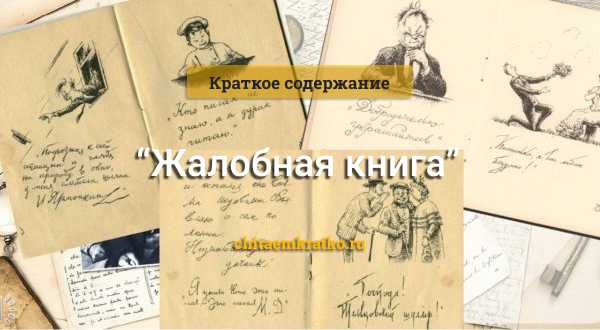 Читательский дневник по «жалобной книге»: история создания, проблематика рассказа, краткий сюжет для пересказа