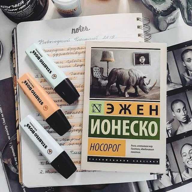 Эжен ионеско "носорог": краткое содержание, анализ