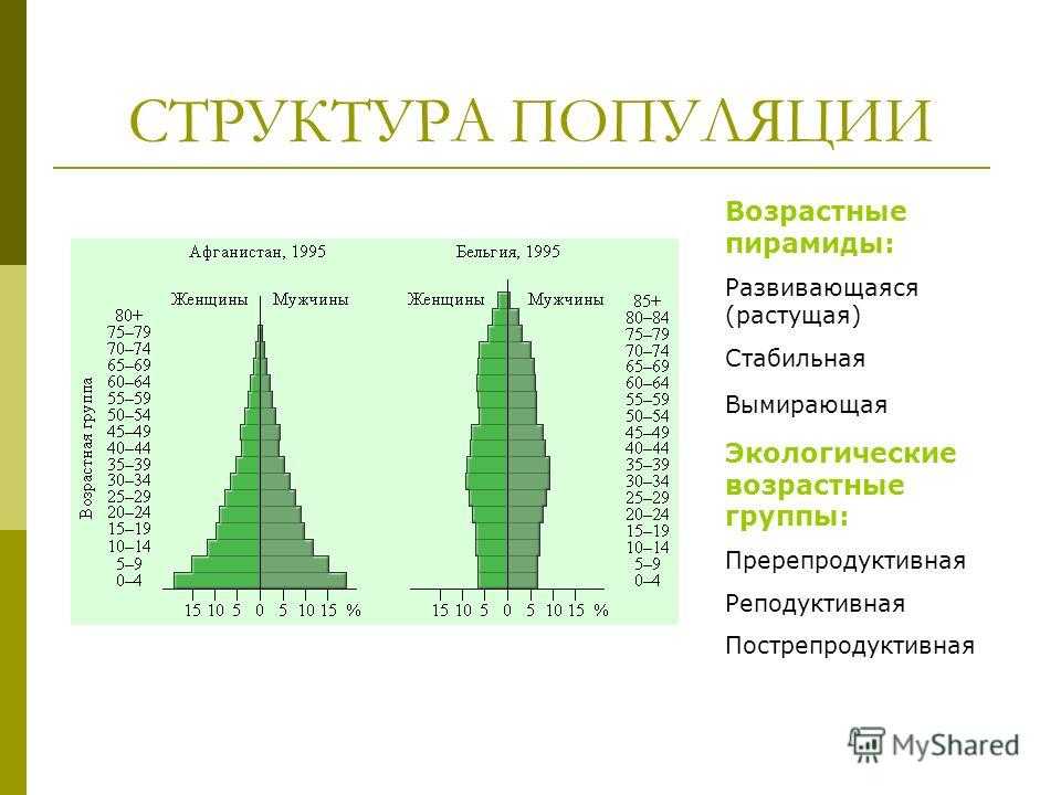 (решено) необходимо выбрать территориальный продукт, на примере которого будет произведён анализ. это может быть: город, регион, страна, место на территории, м... | chatgpt в россии