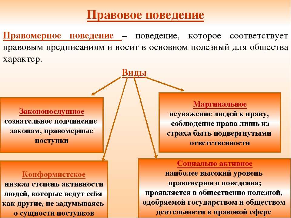 Роль традиций образцов и предрассудков в контексте понимания и смыслополагания