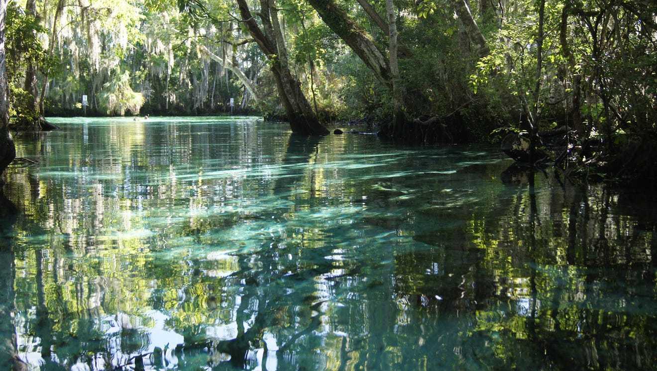 Backpage Crystal River Fl