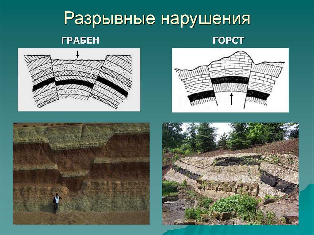 Что относится к горным породам
