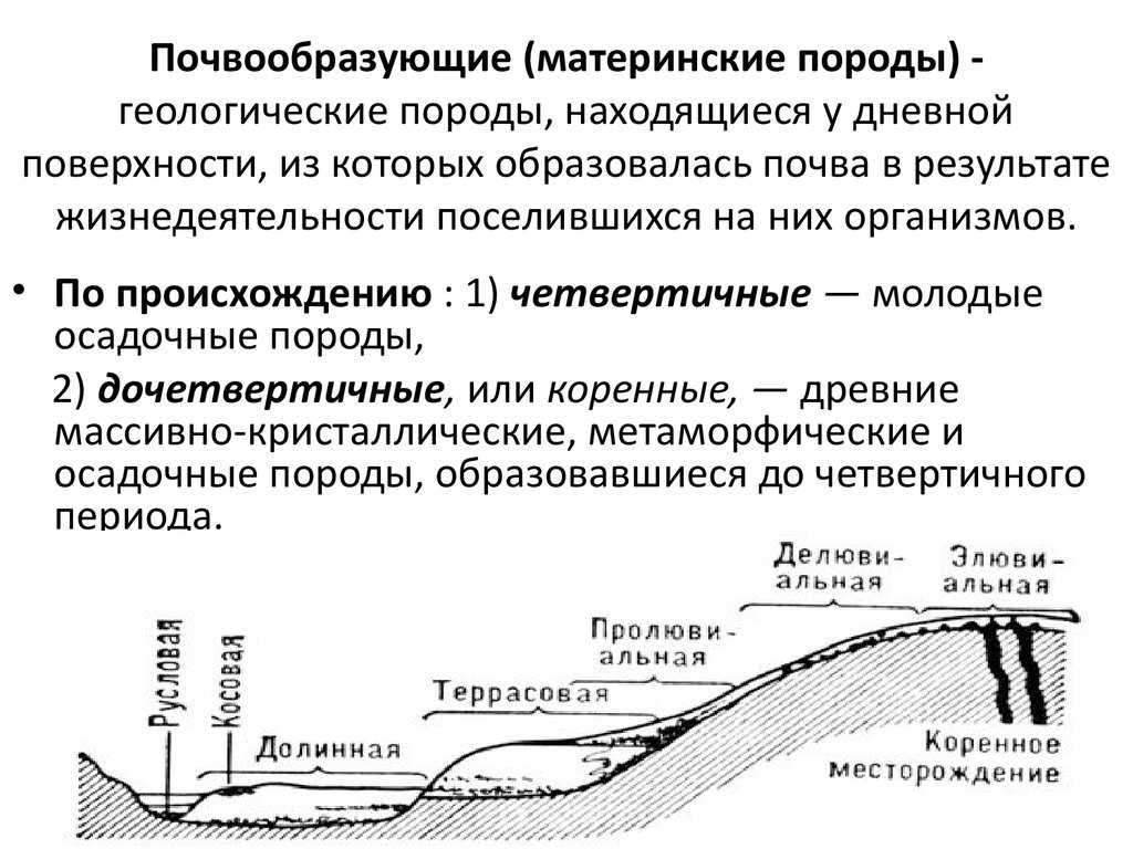 Влияние породы. Почвообразующие (Материнские) породы. 2 Материнские почвообразующие породы их классификация и образование. Материнская порода почвы.