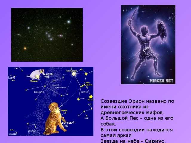 Самые яркие созвездия: названия, история открытия, расположение на небе, наблюдение ярких звезд в разное время года