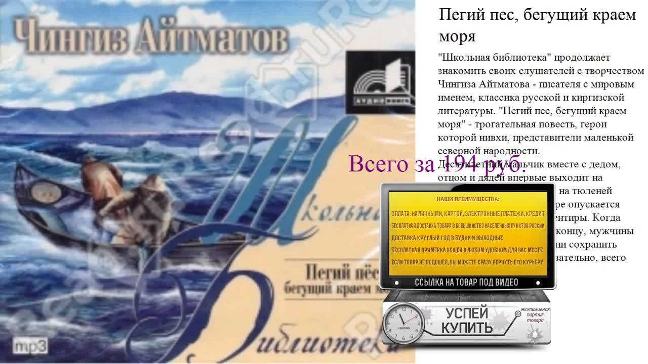 Пегий пес бегущий краем моря краткий пересказ