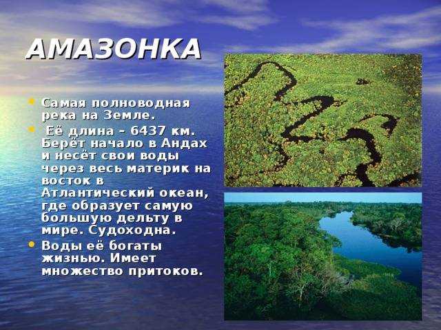 Самые полноводные реки мира и россии, на каком материке находятся